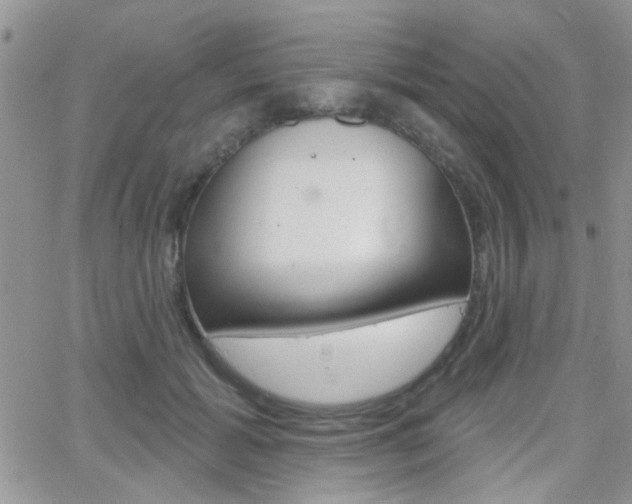 X0000066510605200603170927