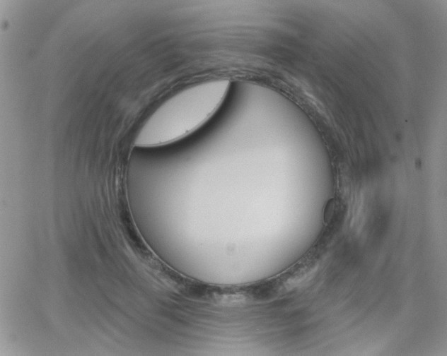 X0000066510645200603170926