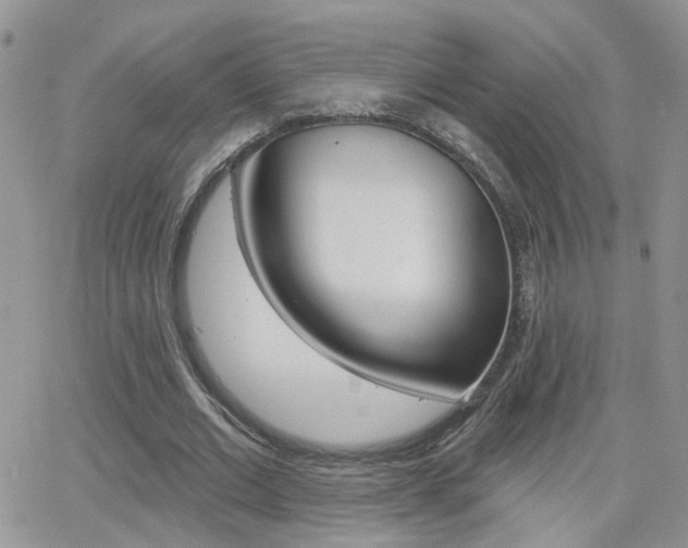 X0000066510677200603170926