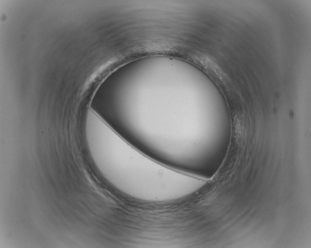X0000066510684200603170926