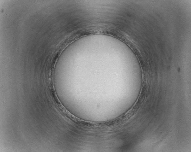 X0000066510737200603170924