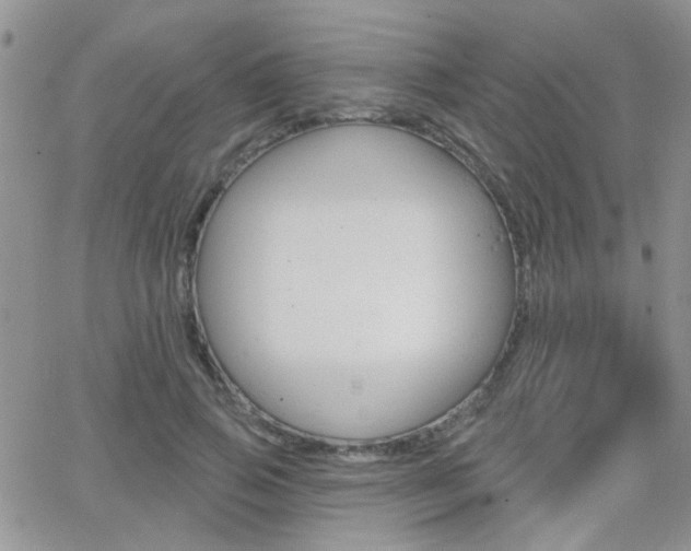 X0000066510741200603170925