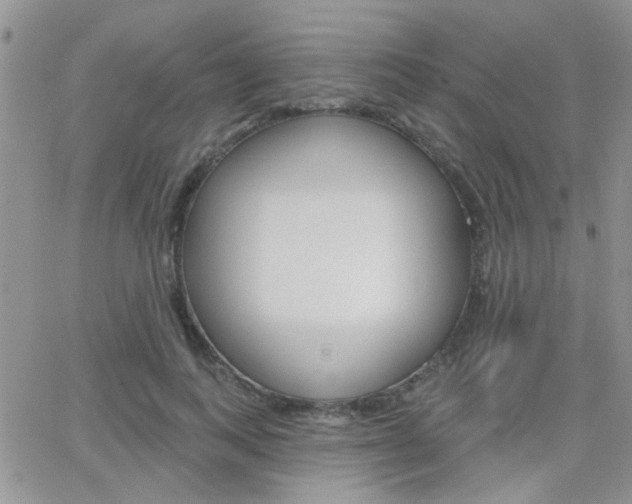 X0000066510743200603170925