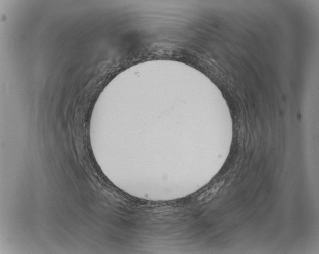 X0000066510769200603170924