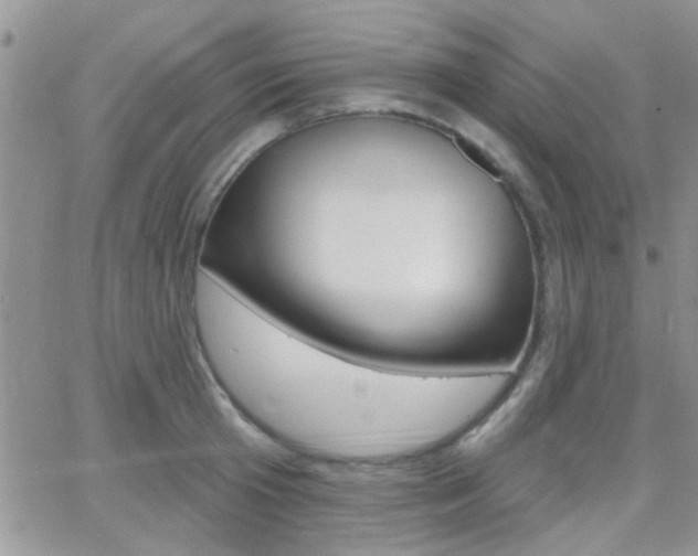 X0000066510801200603170924