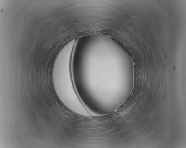 X0000066510818200603170923