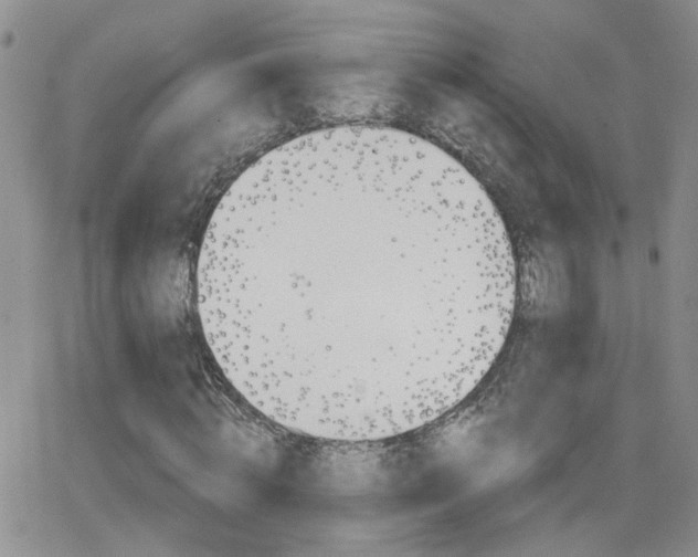 X0000066510820200603170923