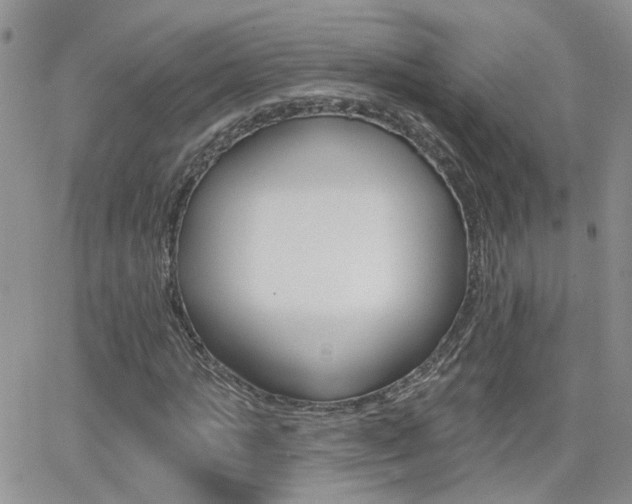 X0000066510821200603170923