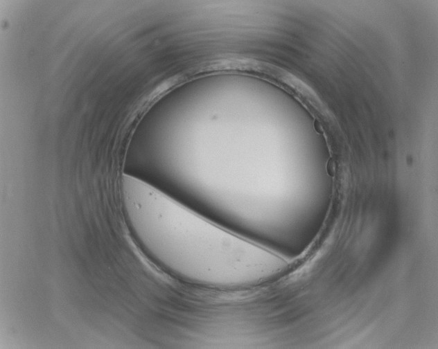 X0000066510841200603170923