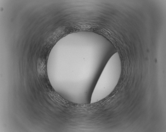 X0000066510866200603170923