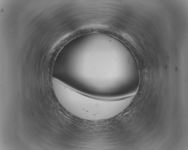 X0000066510872200603170923