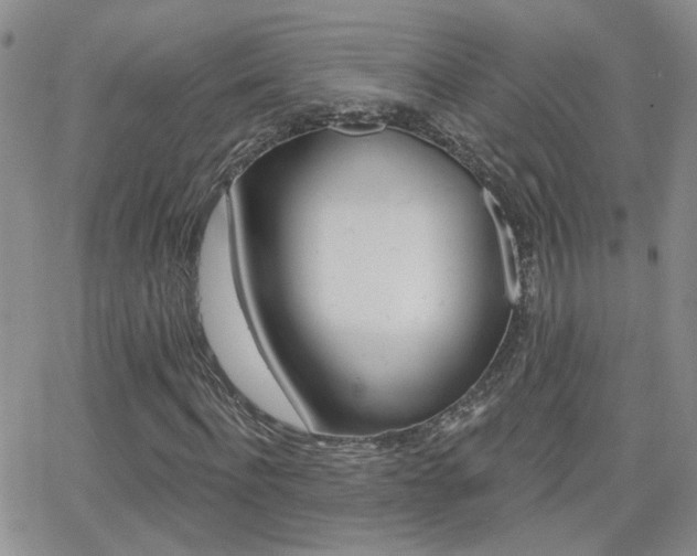 X0000066510916200603170921