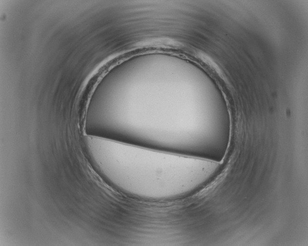 X0000066510923200603170921