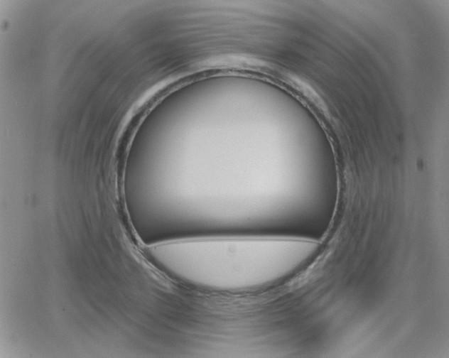 X0000066510931200603170921