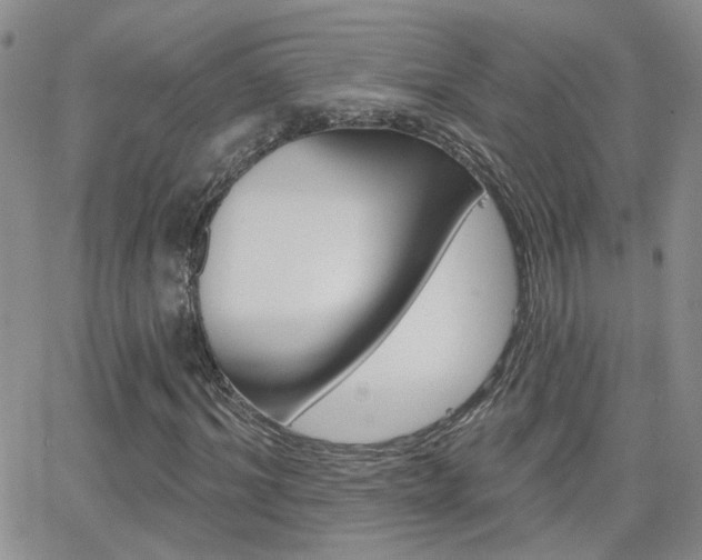 X0000066510964200603170921