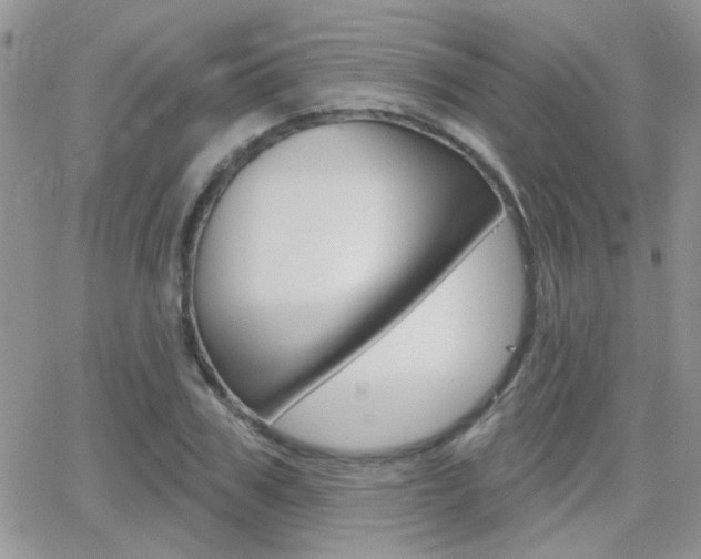 X0000066510979200603170921