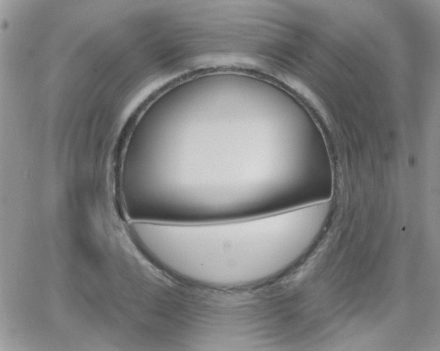 X0000066510983200603170921