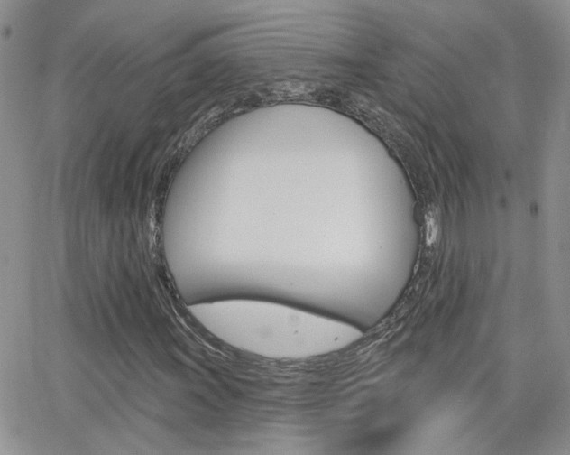 X0000066511011200603170920