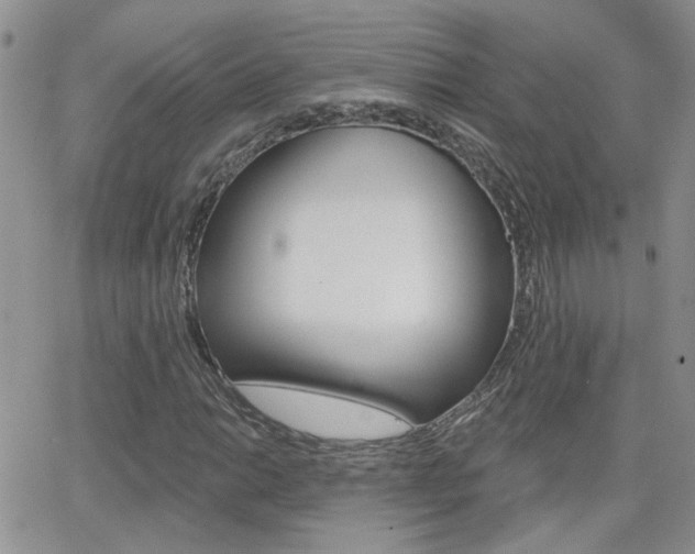 X0000066511014200603170920