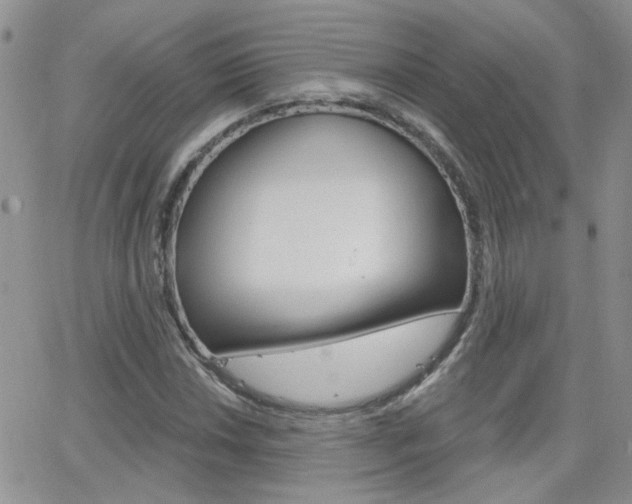 X0000066511018200603170920