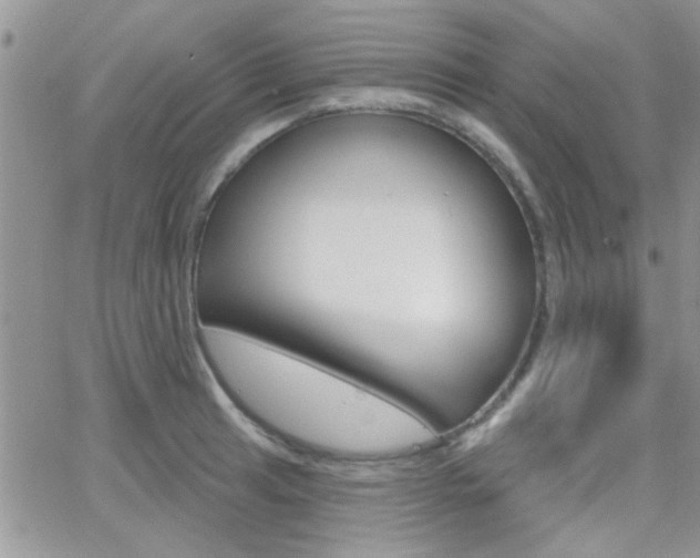 X0000066511041200603170920