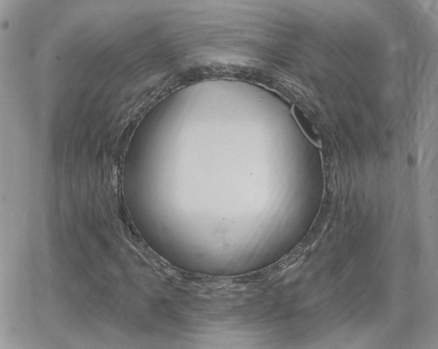 X0000066511061200603170919