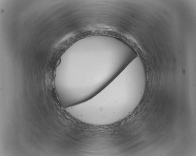X0000066511063200603170919