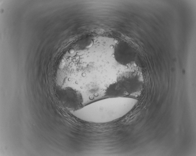 X0000066511105200603170918