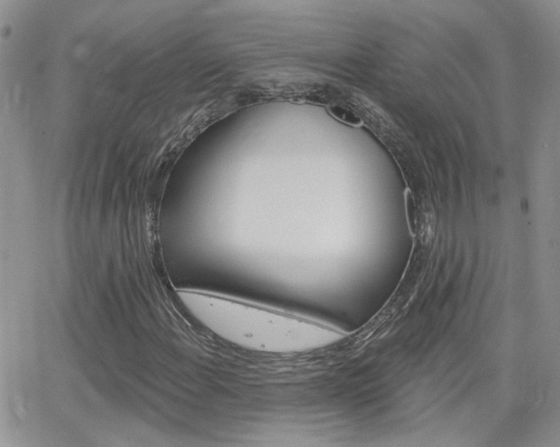 X0000066511108200603170918