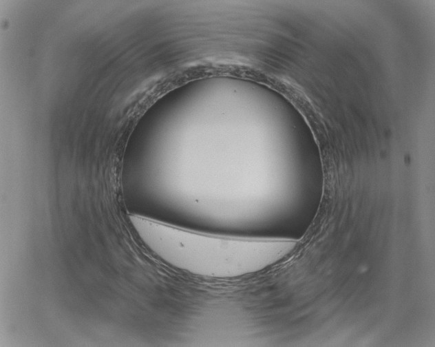 X0000066511110200603170918