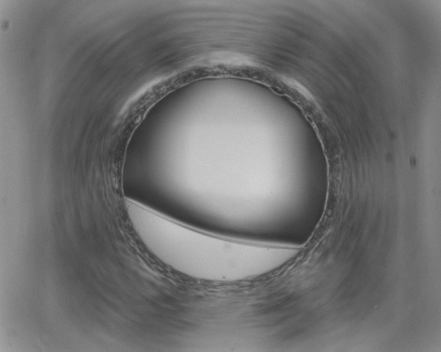 X0000066511112200603170918