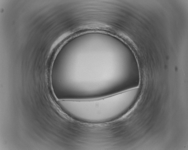 X0000066511114200603170918