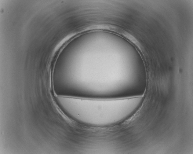 X0000066511127200603170918