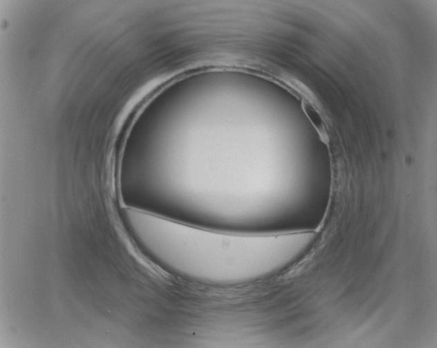 X0000066511128200603170918