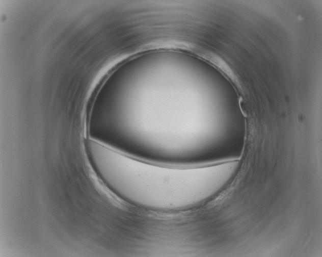 X0000066511132200603170918