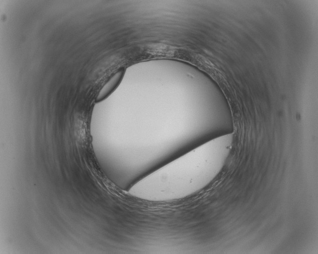 X0000066511154200603170918
