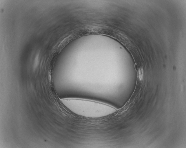 X0000066511155200603170918
