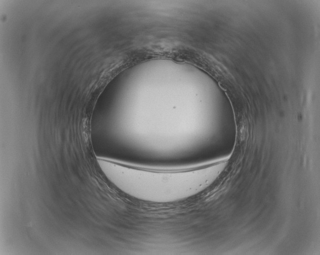 X0000066511156200603170918