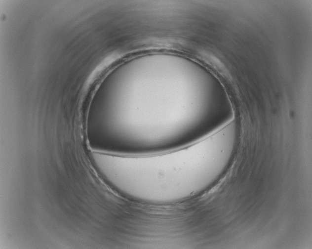 X0000066511172200603170918