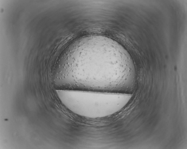 X0000066511201200603170916