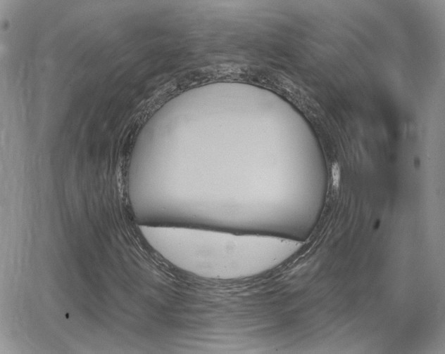 X0000066511203200603170916