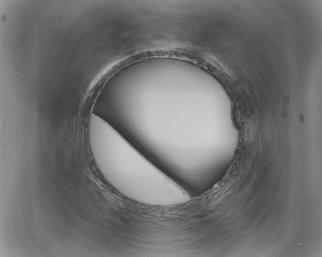 X0000066511208200603170917