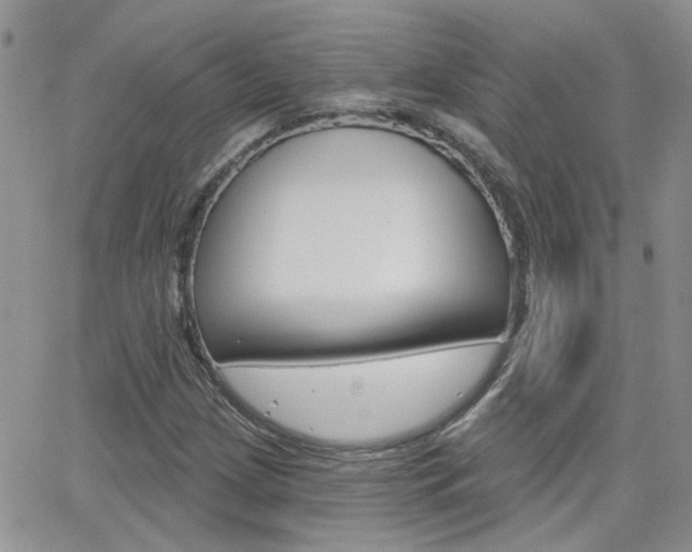 X0000066511209200603170917