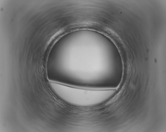 X0000066511210200603170917