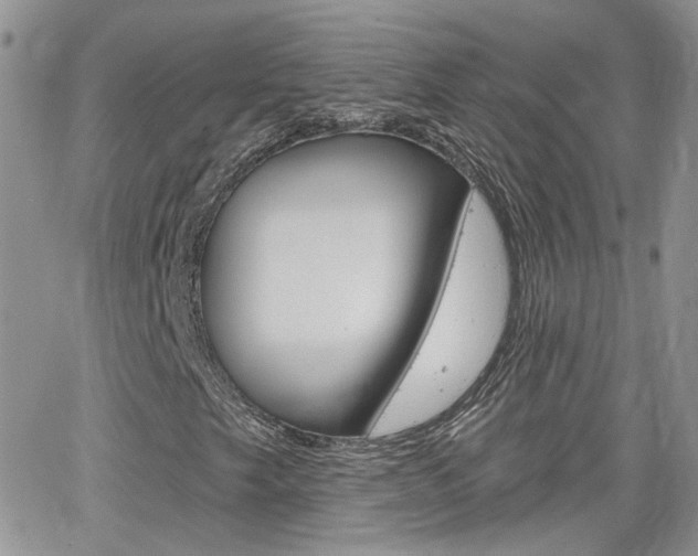 X0000066511249200603170916