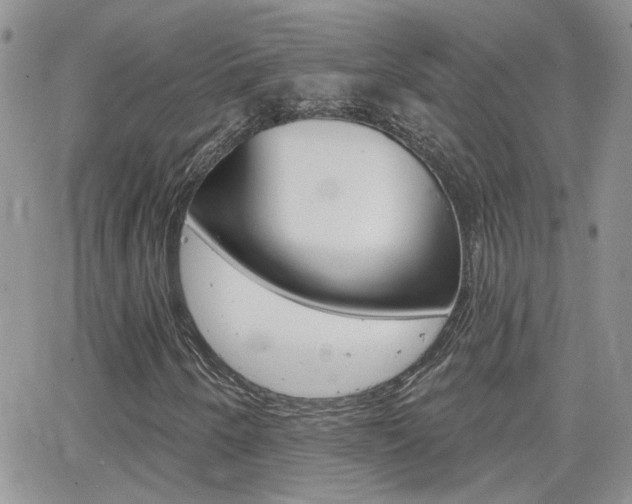 X0000066511250200603170916