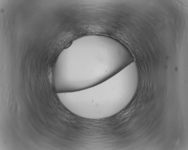 X0000066511251200603170916