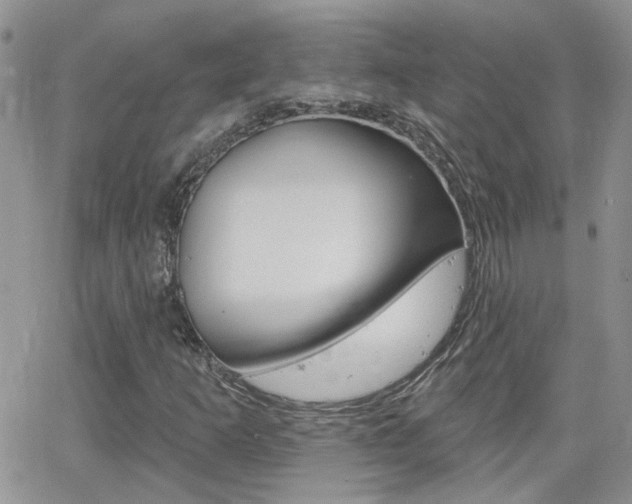 X0000066511253200603170916