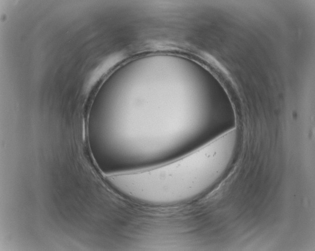 X0000066511269200603170916