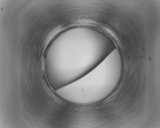 X0000066511275200603170916